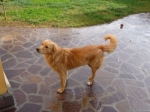 jack1