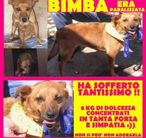 bimba_mix_aprile_-_copia