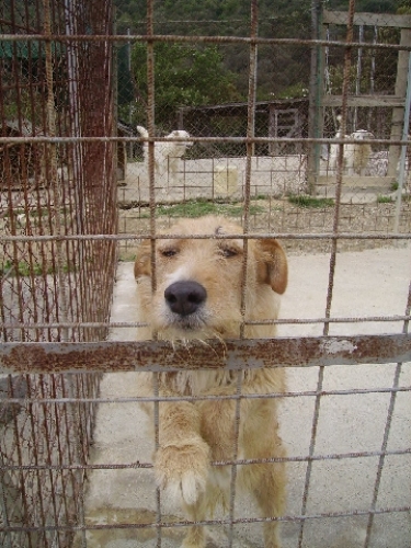 bixio