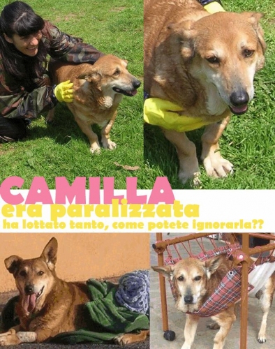 camilla_guarita_pomezia