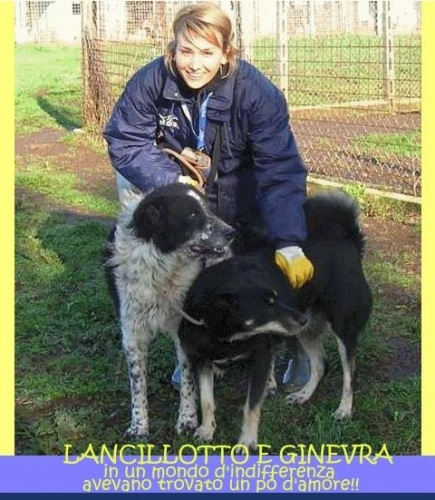 lancillottoeginevrapomezia