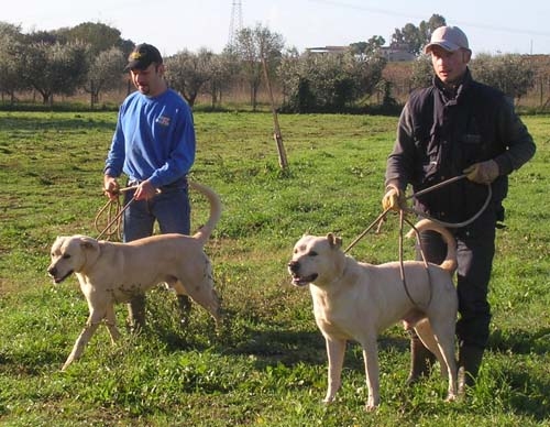 romolo_e_remo_pomezia