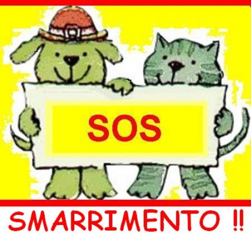 sos_smarrimento