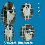 eros-1pomezia