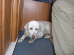 faith2009-1