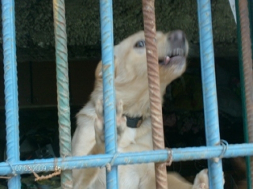 hpim1029_copy