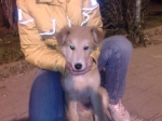 trudy_1