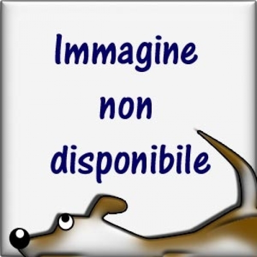 immagine_non_disponibile