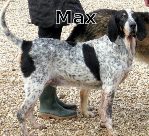 max