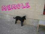 memole1
