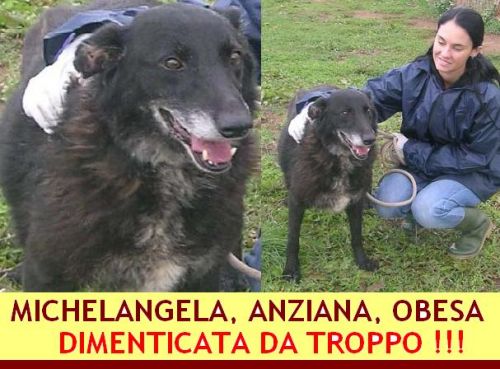 MICHELANGELA_APPELLO