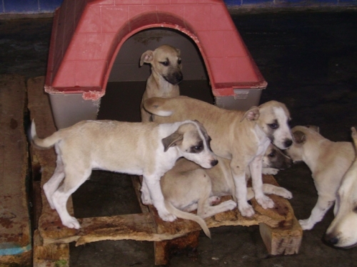 macchina_foto_472