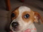 jecckina_4