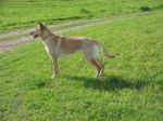 maia_007