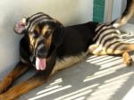 Fosca_nuove_foto_3