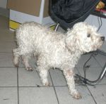 olimpia00