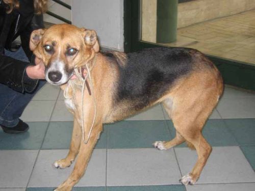 trovata_castroPretorio