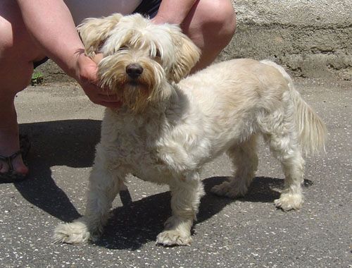 trovata_monterotondo