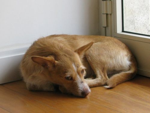 trovata_quartiereafricano