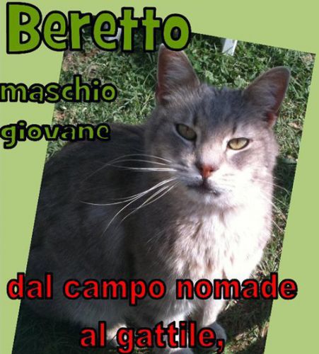 BERRETTO_2