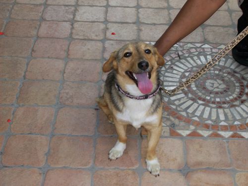 birillo_trovato_copy