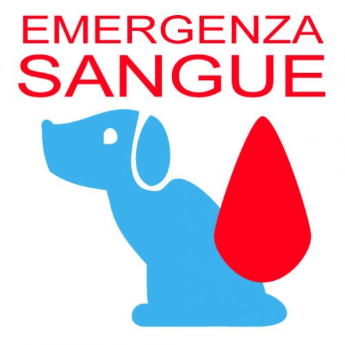 em_sangue