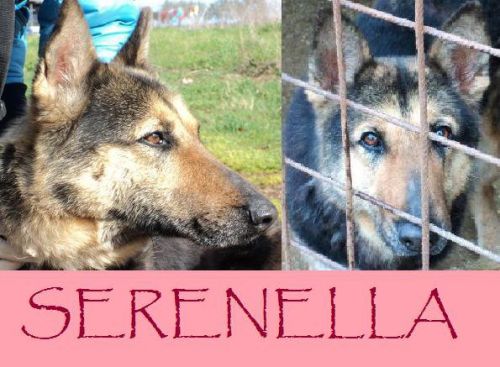 serenella