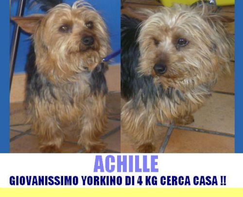 achille