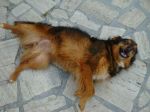 lilli1