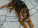 lilli2