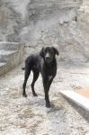 nerone_abruzzo1