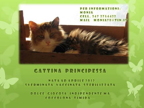 PRINCIPESSA