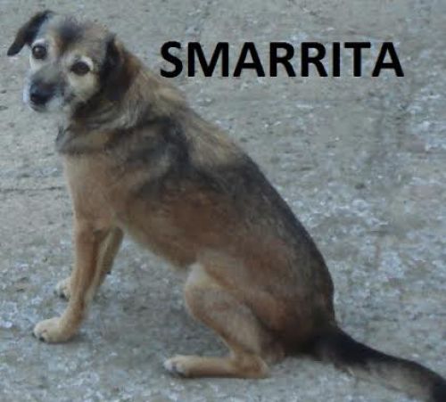 smarrita_viterbo