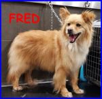 FRED_2