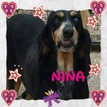 NINA1