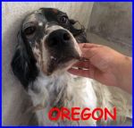 OREGON_2