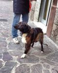 athos2