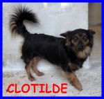 clotilde