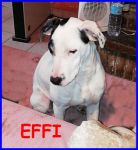 effi