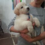 trudi1