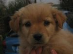FILIPPO1