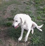 LOREN_2