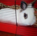 ROKY_3