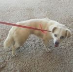 benny_2