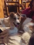 clyde_9035