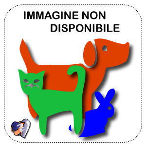 Immagine non disponibile