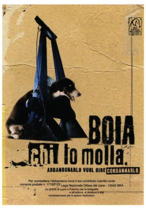 Boia chi lo molla.