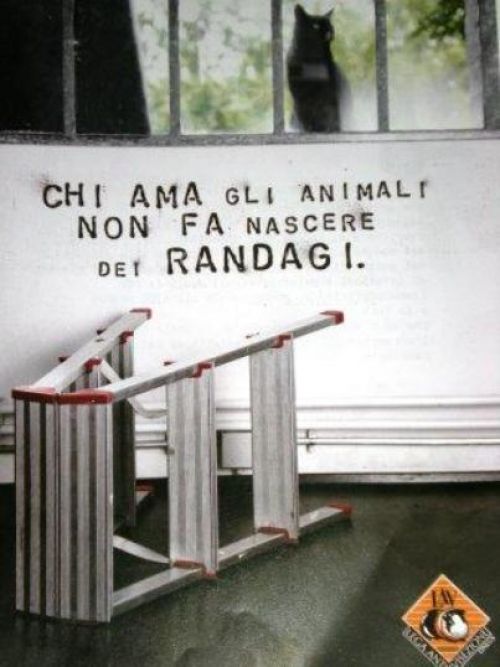 Chi ama gli animali non fa nascere...