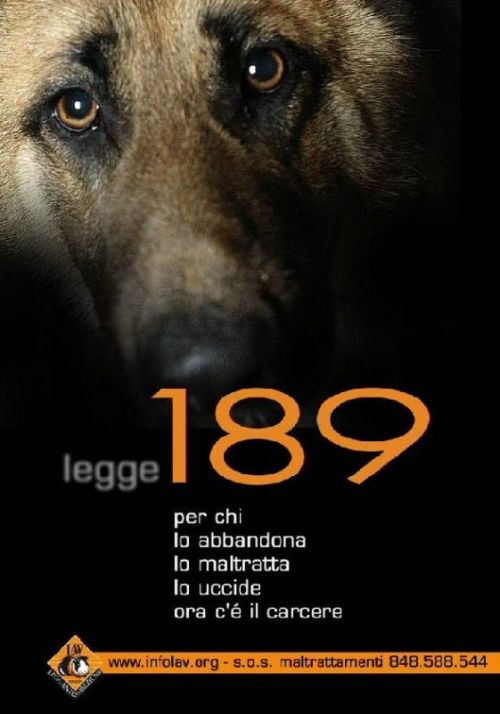 Legge 189